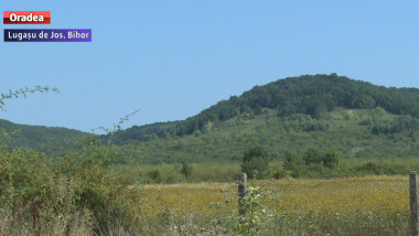 terenuri investitori Bihor