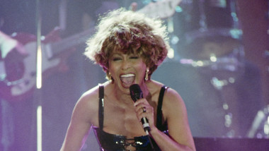 tina turner pe scena
