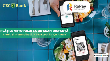 RoPay